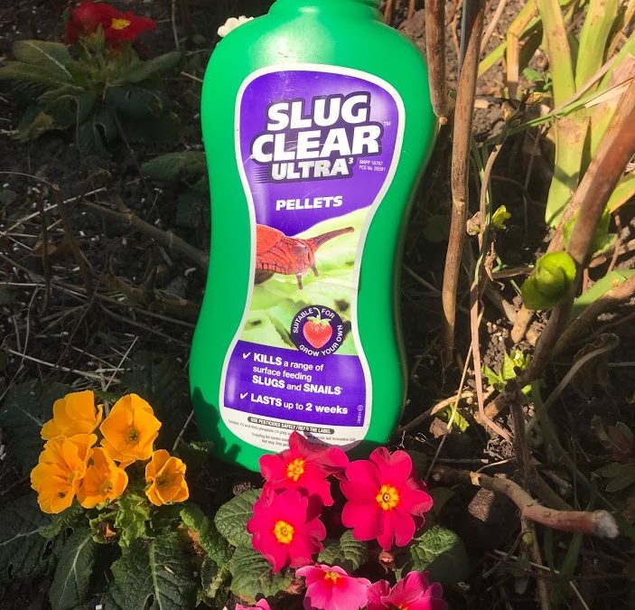 买地板送大米 圣象“齐鲁送暖日”促销启动【太阳成集团tyc】(图3) 太阳成官网