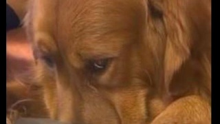 太阳集团tyc|
2019美容院最新邀约会员的话术 保你天天客满(图4) 太阳成官网